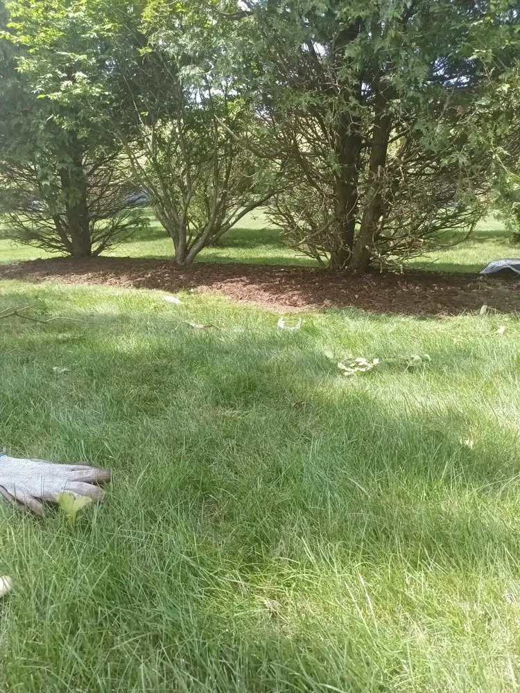 Affordable yard maintenance experts serving Butler, IN - Infamous Landscaping And Lawncare