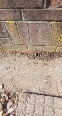 Infamous Landscaping And Lawncare