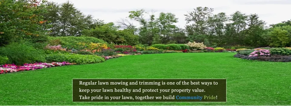 Reliable landscape installation experts serving Nashville, TN - Infantry Lawn Service