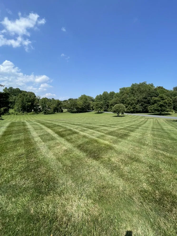 Expert residential landscaping experts serving Glen Burnie, MD - Infascapes Property Management