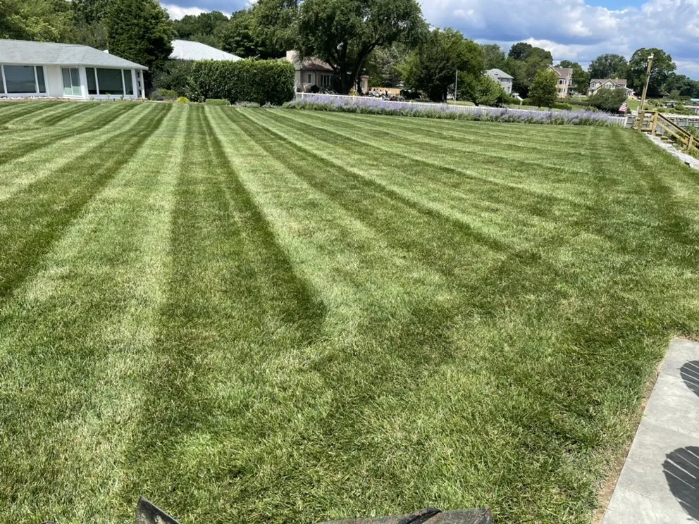 Top-rated garden landscaping in Glen Burnie, MD - Infascapes Property Management