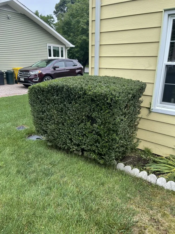 Local yard maintenance in Glen Burnie, MD by Infascapes Property Management