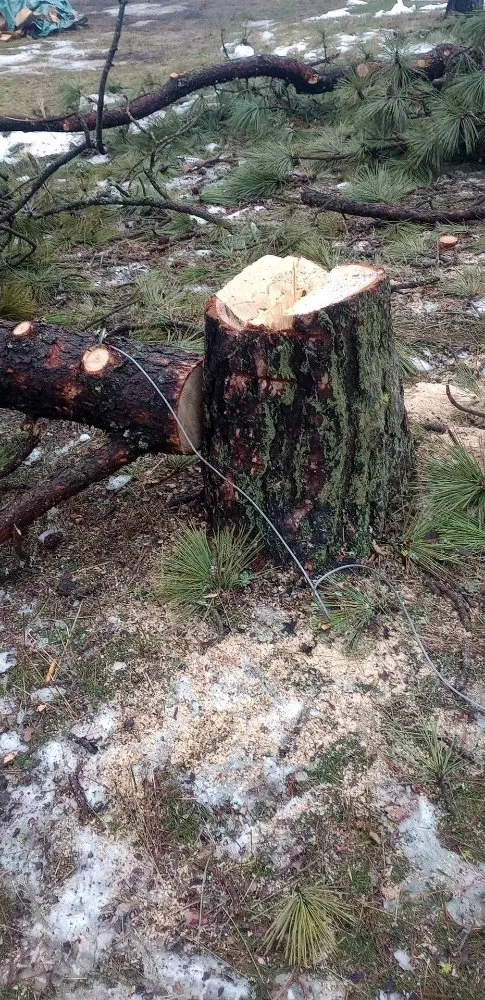 Professional outdoor landscaping in Airway Heights, WA by Inferno Works