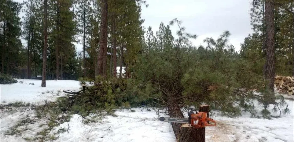 Custom landscape installation in Airway Heights, WA - Inferno Works