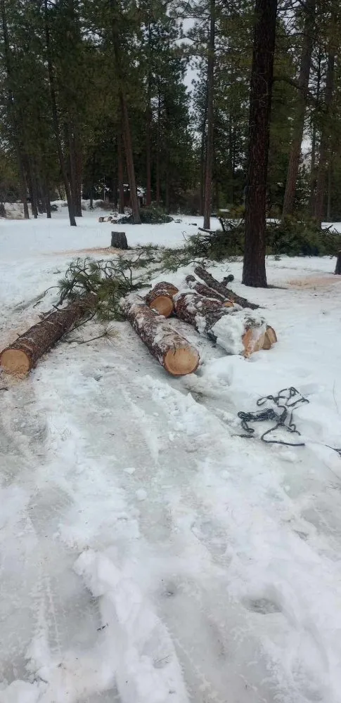 Affordable landscape design in Airway Heights, WA - Inferno Works