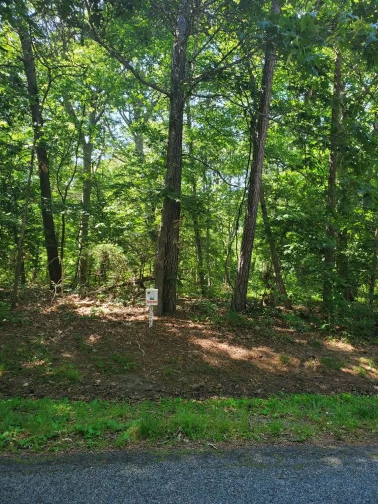 Expert yard maintenance experts serving Salisbury, MD - Infinite Acres