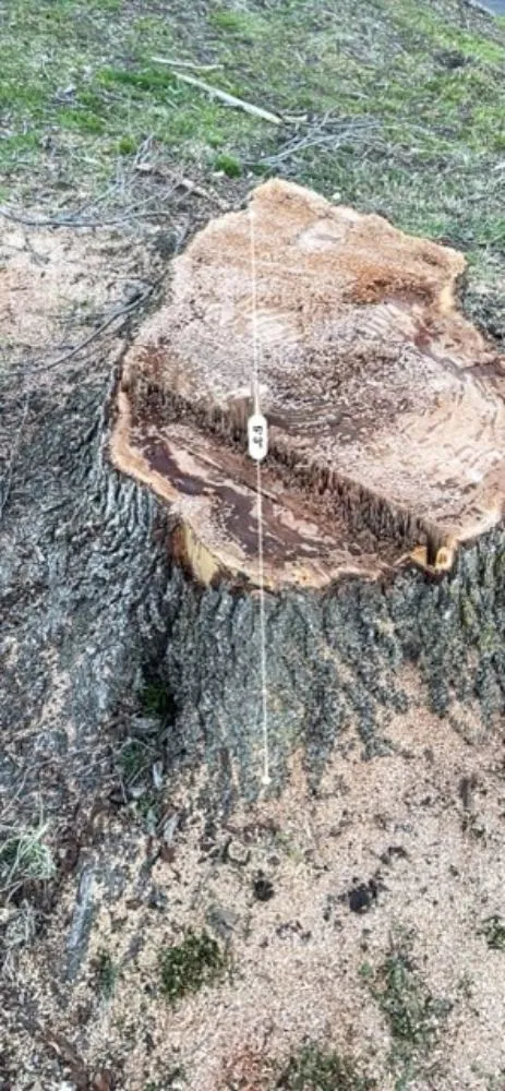 Reliable outdoor landscaping experts serving Salisbury, MD - Infinite Acres