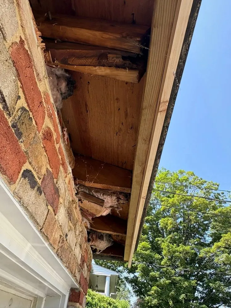 Affordable landscape design for beautiful yards across Sunbury, PA - Infinite Construction