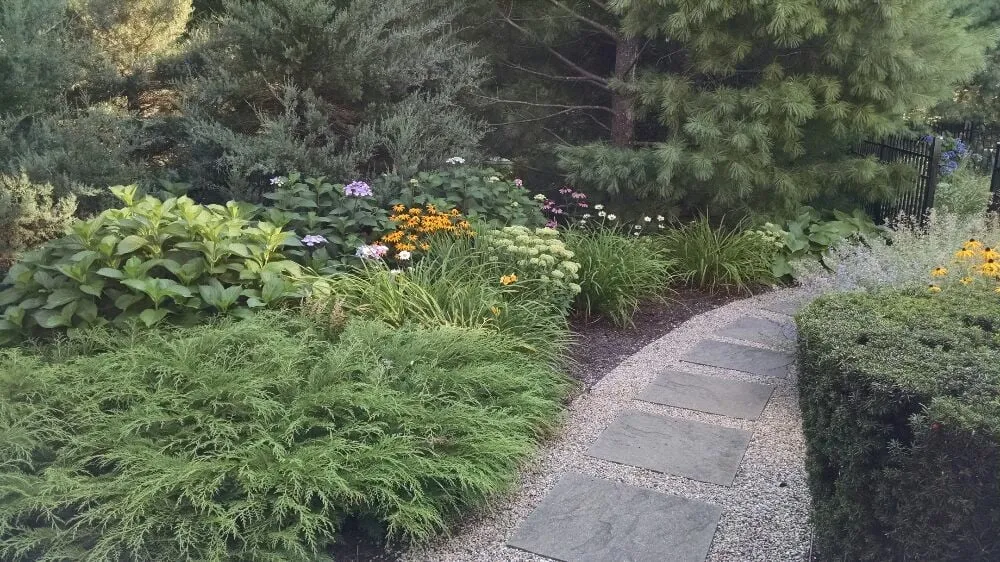 Custom yard cleanup service in West Wareham, MA - Infinite Designs Landscape Services
