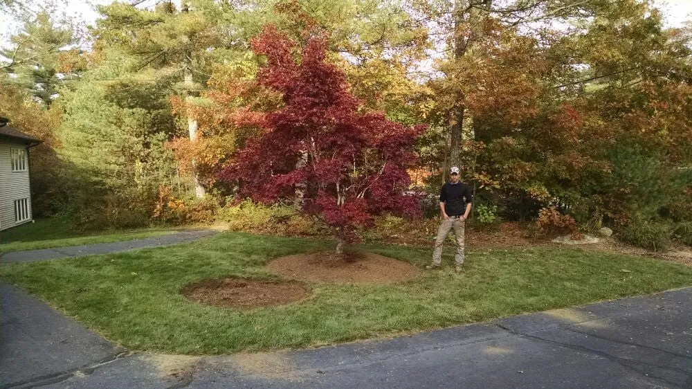 Trusted lawn care service experts serving West Wareham, MA - Infinite Designs Landscape Services