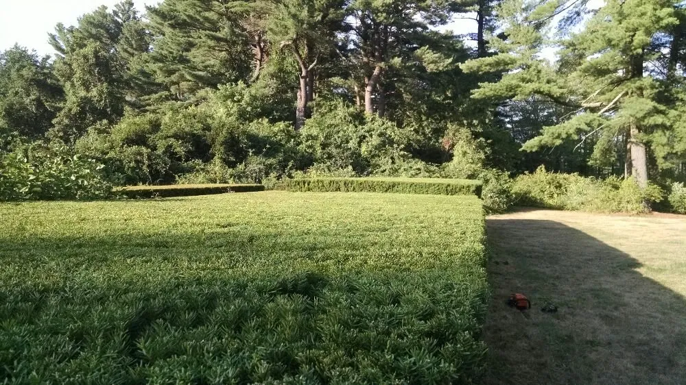 Local lawn care service in West Wareham, MA by Infinite Designs Landscape Services