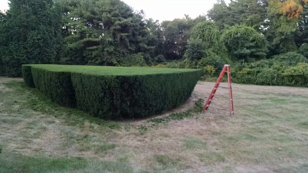 Trusted lawn care service experts serving West Wareham, MA - Infinite Designs Landscape Services