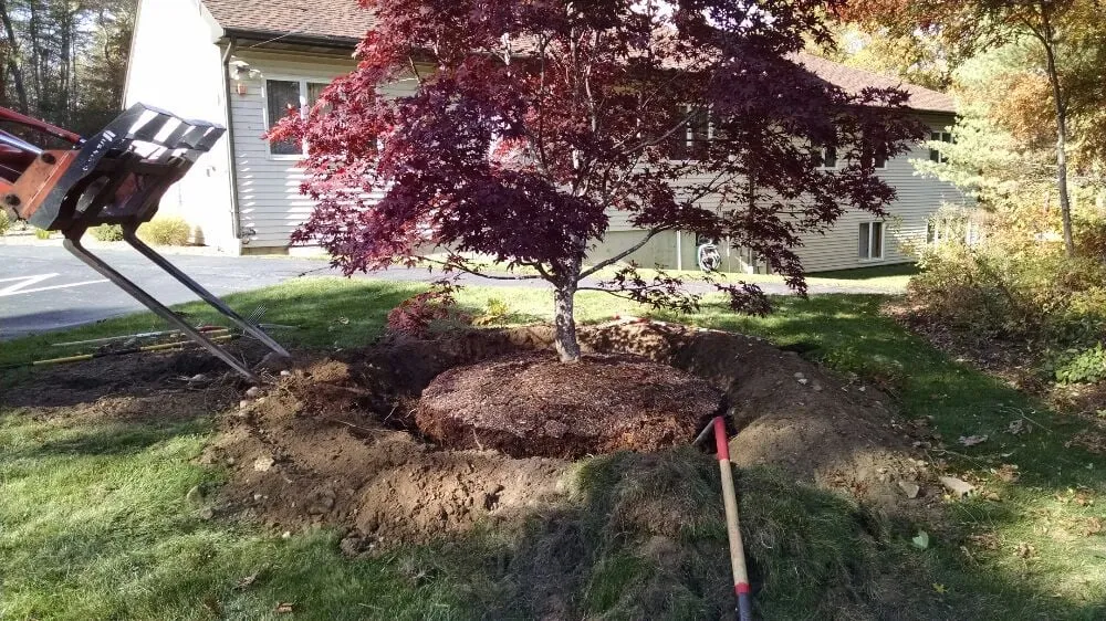 Professional residential landscaping experts serving West Wareham, MA - Infinite Designs Landscape Services