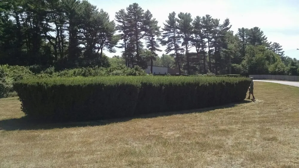 Custom yard cleanup service for homes in West Wareham, MA by Infinite Designs Landscape Services