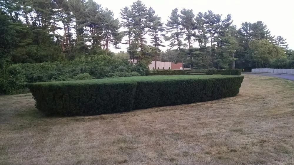 Custom landscape installation in West Wareham, MA by Infinite Designs Landscape Services
