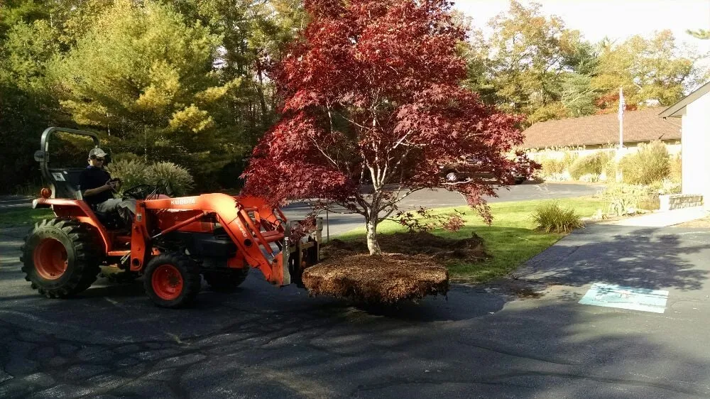 Trusted landscape installation for year-round maintenance across West Wareham, MA - Infinite Designs Landscape Services