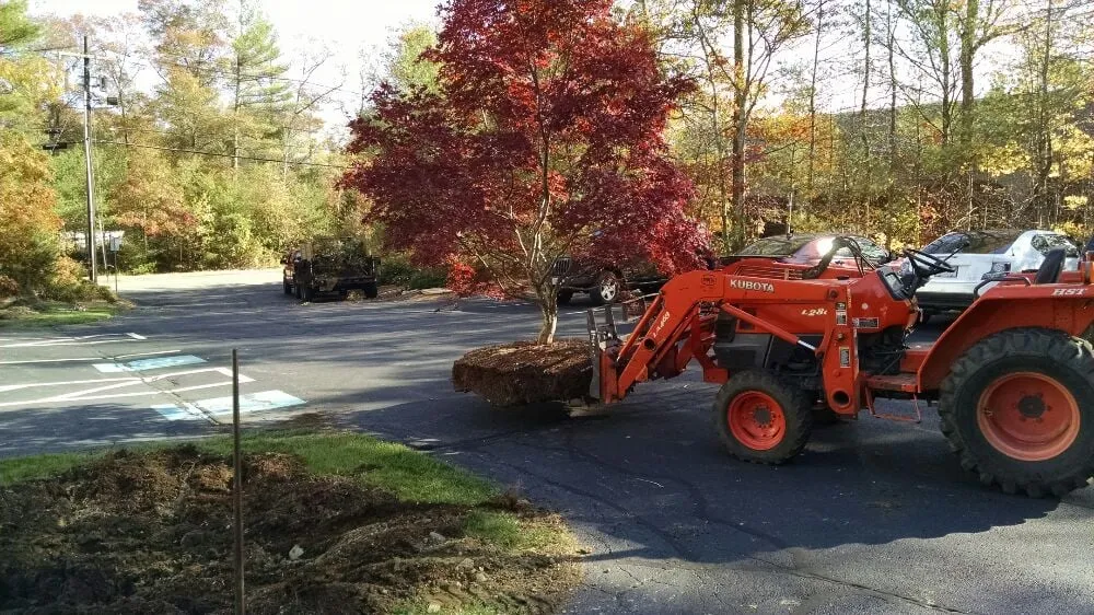 Affordable lawn care service in West Wareham, MA - Infinite Designs Landscape Services