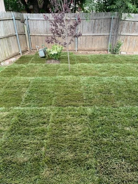 Reliable yard maintenance experts serving Midwest City, OK - Infinite Earth