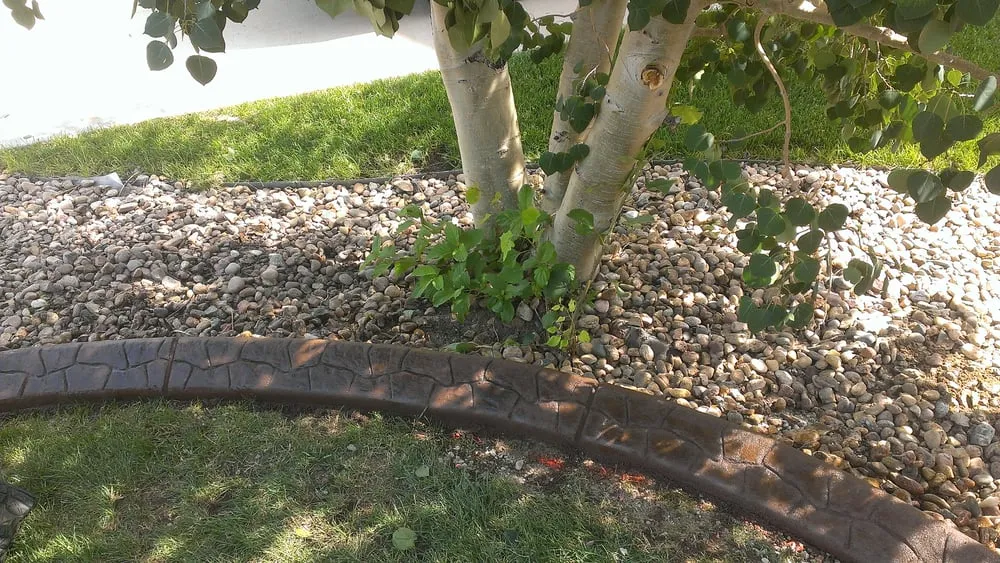 Local garden landscaping for year-round maintenance across Lakewood, CO - Infinite Edging