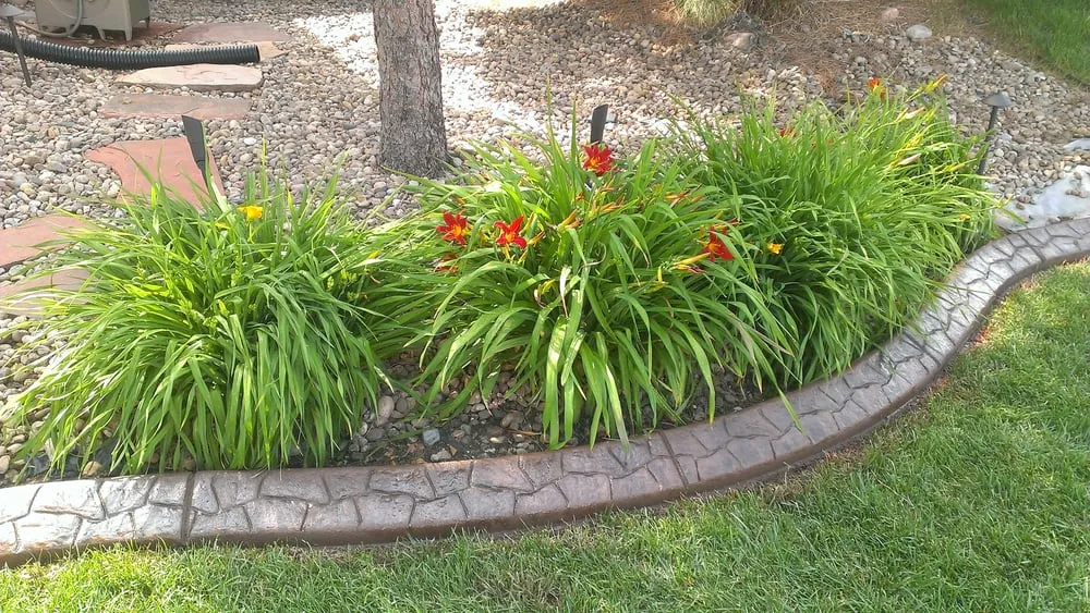 Local garden landscaping experts serving Lakewood, CO - Infinite Edging