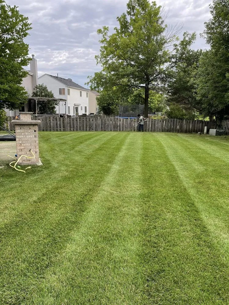 Custom yard maintenance for residential properties in Bartlett, IL by Infinite Green Landscaping
