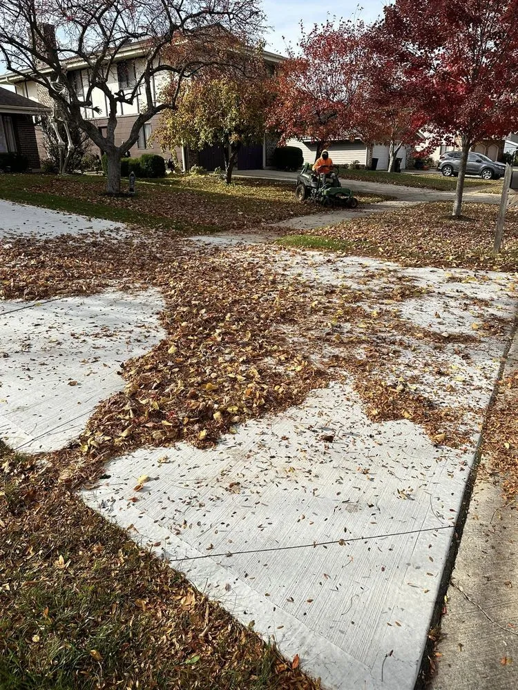 Custom yard cleanup service for residential properties in Bartlett, IL by Infinite Green Landscaping