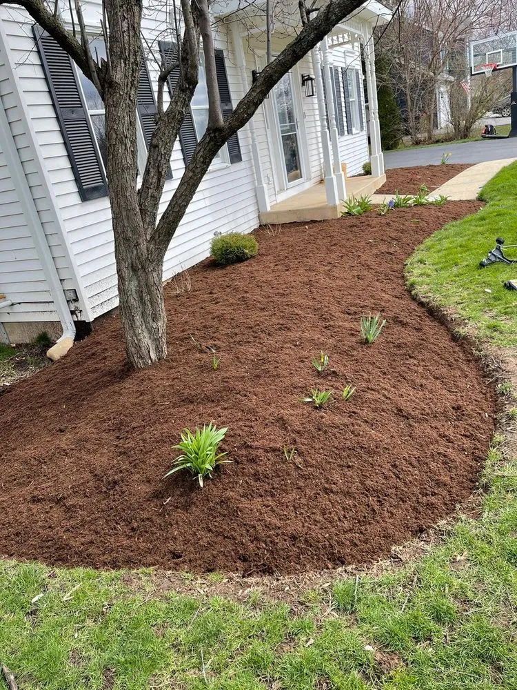 Custom yard cleanup service for residential properties in Bartlett, IL by Infinite Green Landscaping