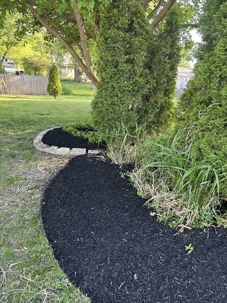 Expert landscaping services for beautiful yards across Bartlett, IL - Infinite Green Landscaping