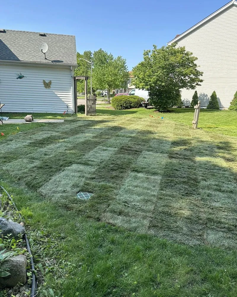 Trusted lawn care service in Bartlett, IL by Infinite Green Landscaping