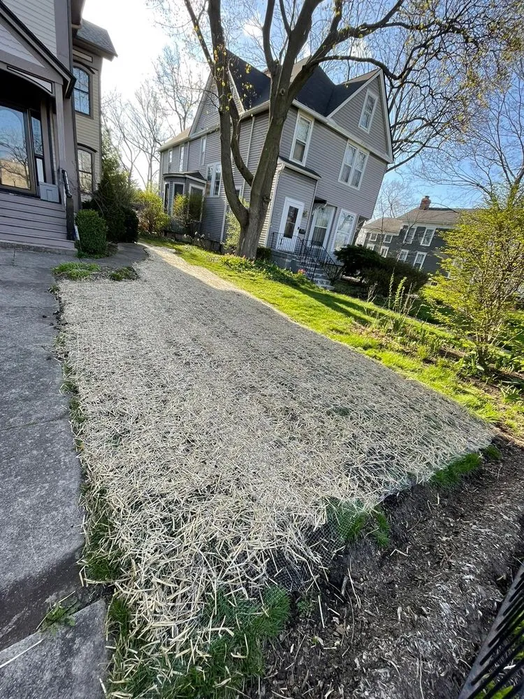 Expert yard cleanup service for outdoor upgrades across Bartlett, IL - Infinite Green Landscaping