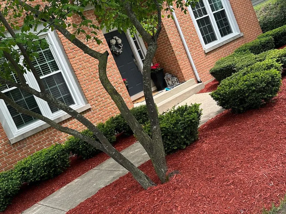 Professional yard cleanup service in Bartlett, IL - Infinite Green Landscaping