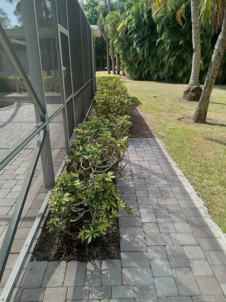 Local yard maintenance in Royal Palm Beach, FL by Infinite Green Lawn Care Service