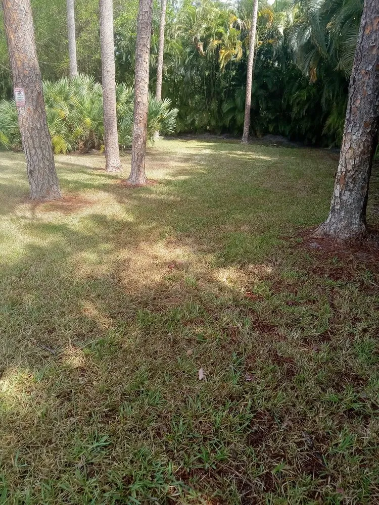 Local lawn mowing service in Royal Palm Beach, FL - Infinite Green Lawn Care Service