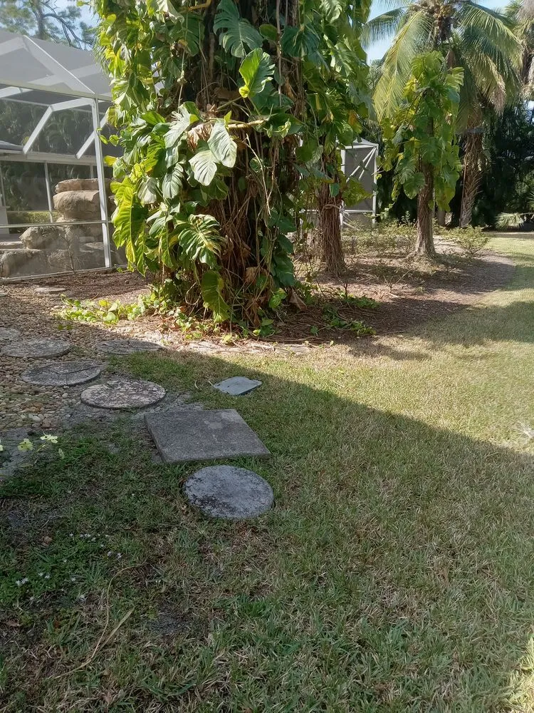 Custom yard maintenance in Royal Palm Beach, FL - Infinite Green Lawn Care Service