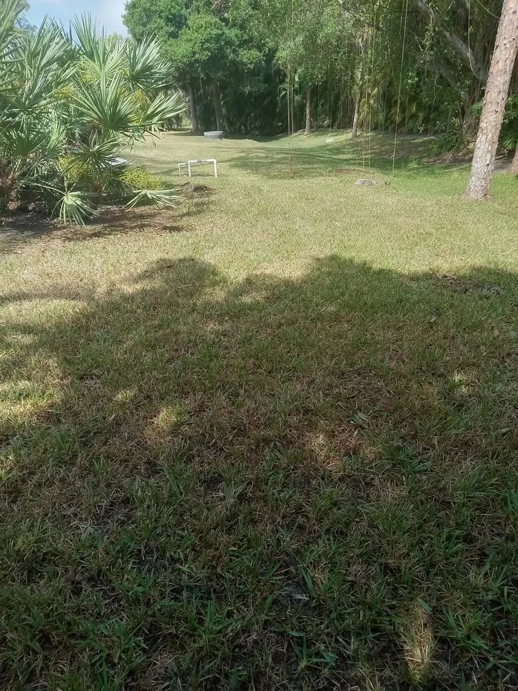 Professional outdoor landscaping for homes across Royal Palm Beach, FL - Infinite Green Lawn Care Service