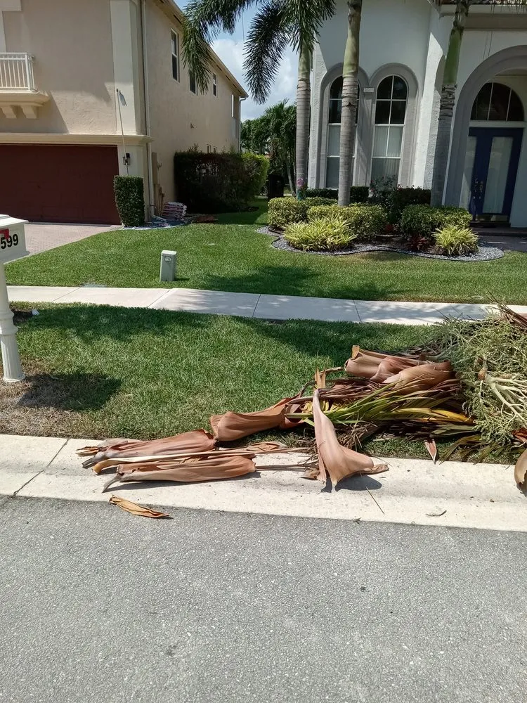 Reliable landscape installation in Royal Palm Beach, FL by Infinite Green Lawn Care Service