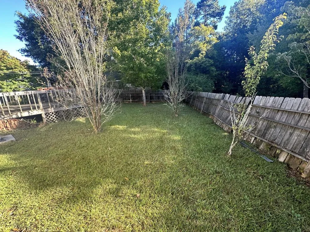 Expert garden landscaping for residential properties in Columbia, SC by Infinite Landscape & Pressure Washing