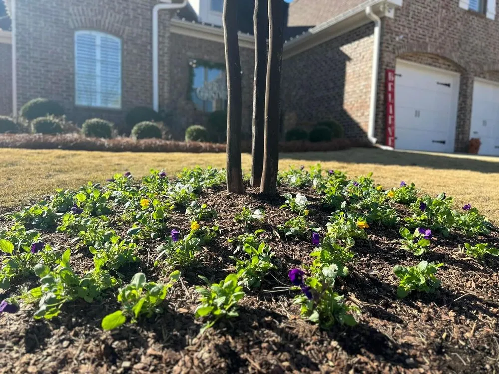 Professional yard maintenance experts serving Bossier City, LA - Infinite Landscaping