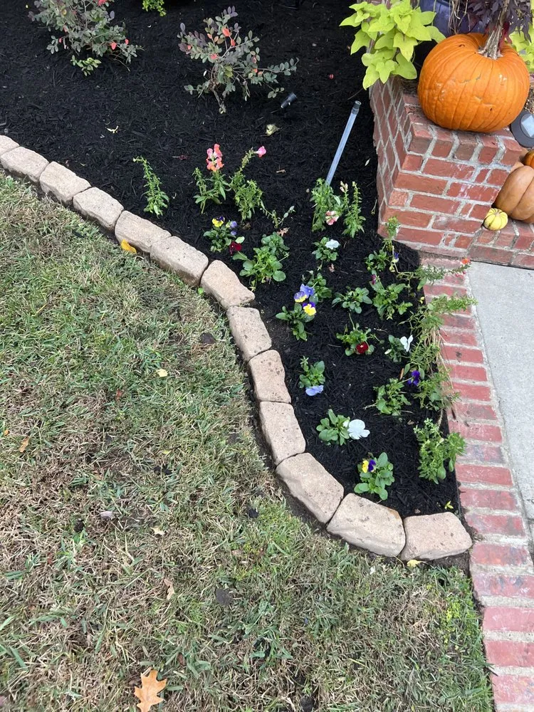 Reliable yard cleanup service with custom design in Bossier City, LA by Infinite Landscaping