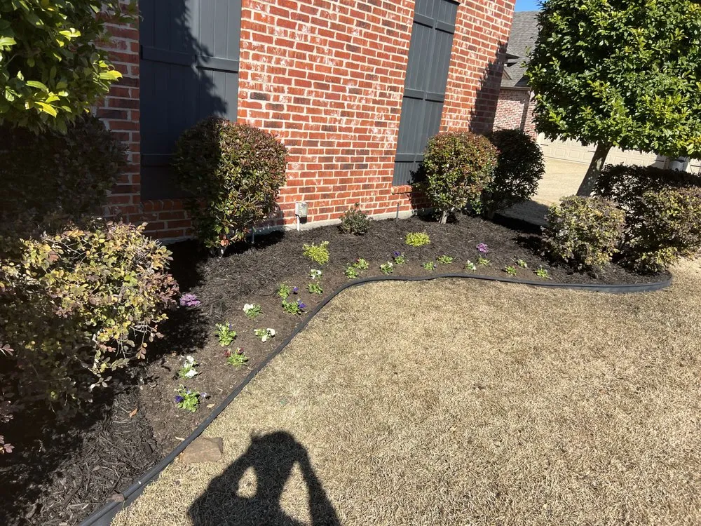 Reliable yard cleanup service in Bossier City, LA by Infinite Landscaping