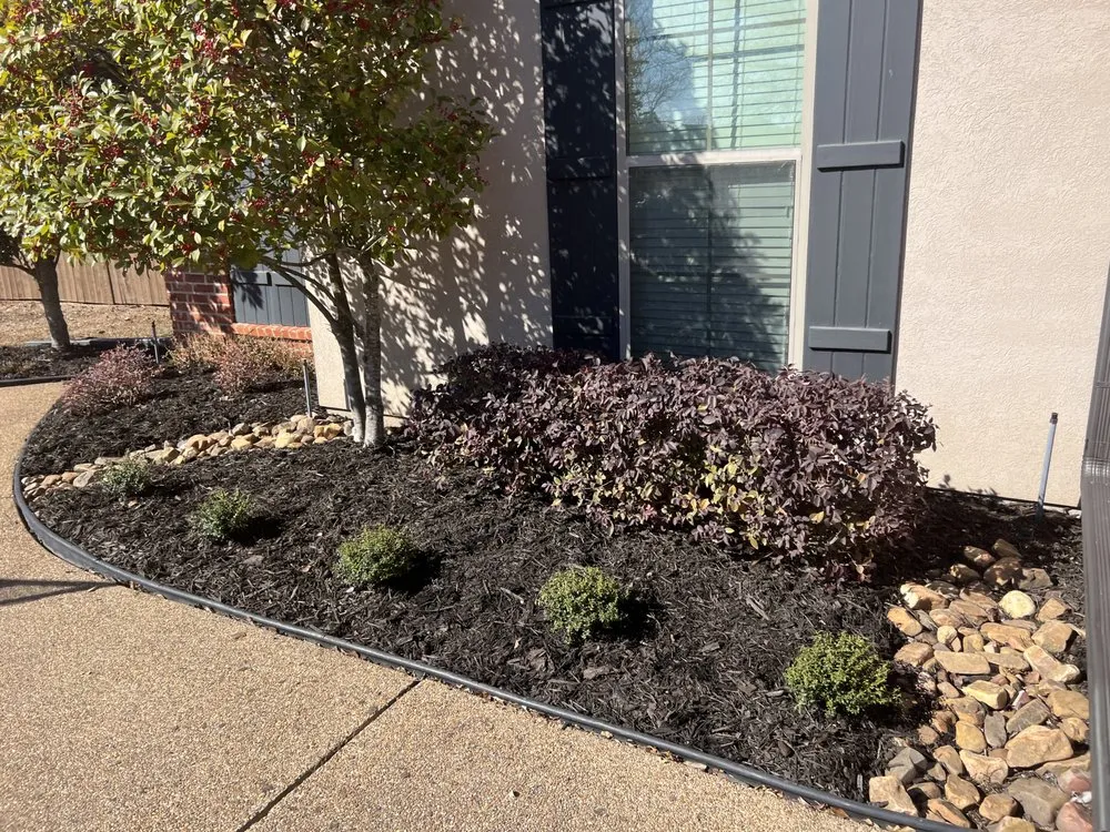 Affordable yard cleanup service in Bossier City, LA - Infinite Landscaping