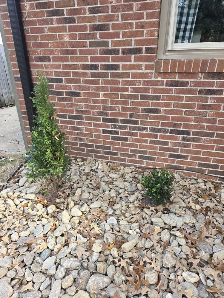 Custom lawn mowing service in Greer, SC by Infinite Landscaping