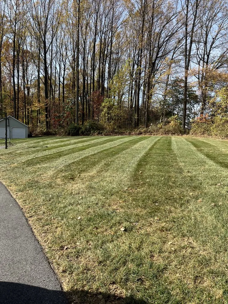 Local landscape installation in West Grove, PA by Infinite Landscaping