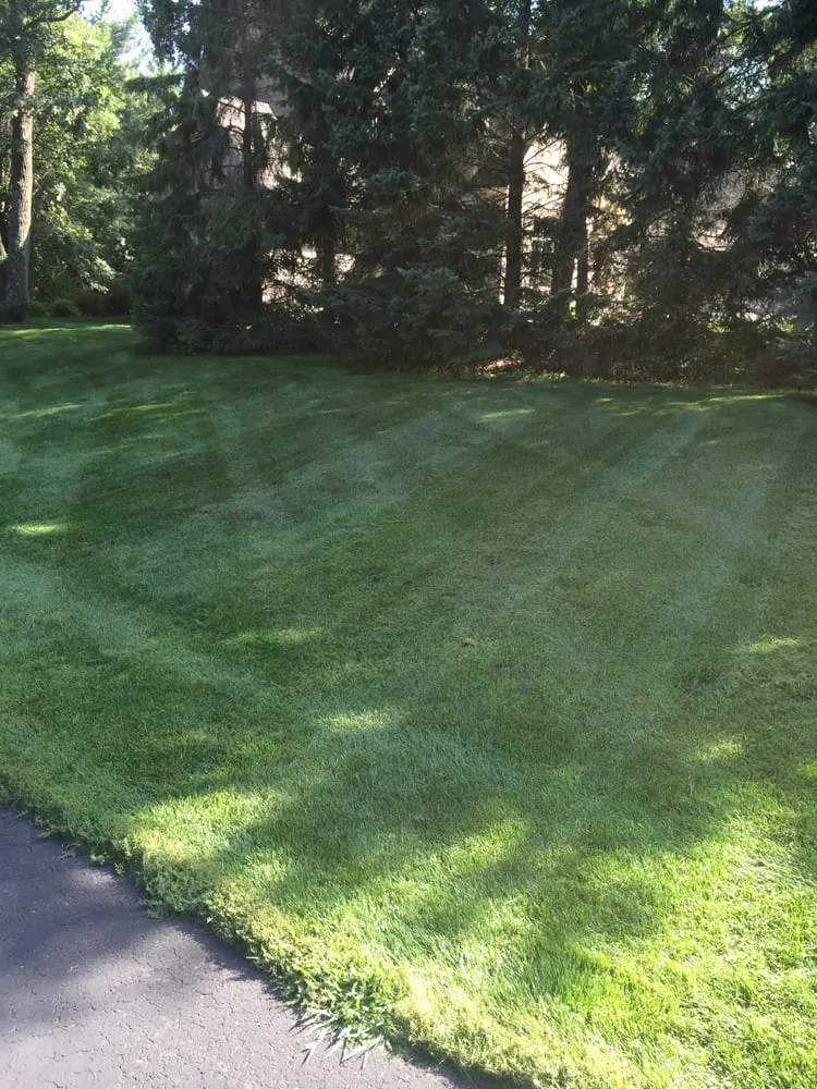 Local outdoor landscaping for homes in Blaine, MN by Infinite Lawn and Landscape