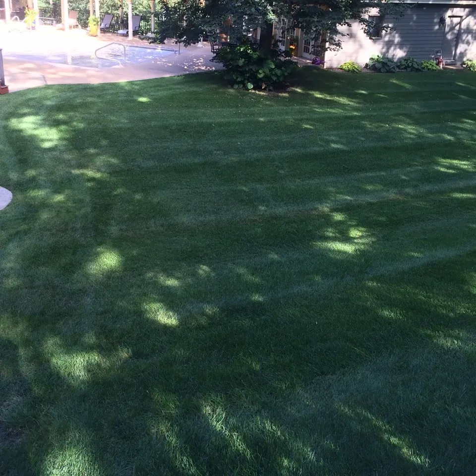 Top-rated lawn care service in Blaine, MN - Infinite Lawn and Landscape