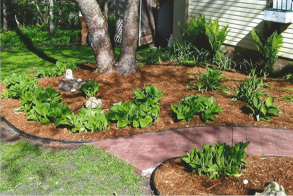 Professional yard cleanup service experts serving Blaine, MN - Infinite Lawn and Landscape