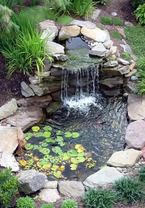 Professional yard maintenance in Piney Flats, TN by Infinite