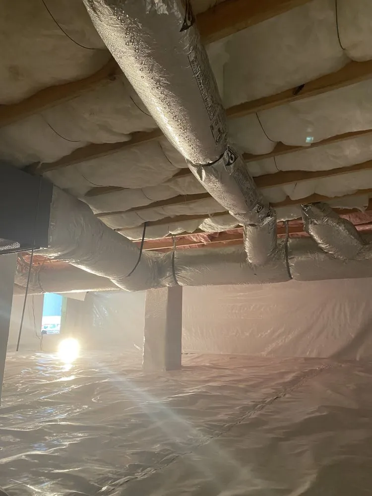 Affordable landscaping services for beautiful yards in Piney Flats, TN by Infinite