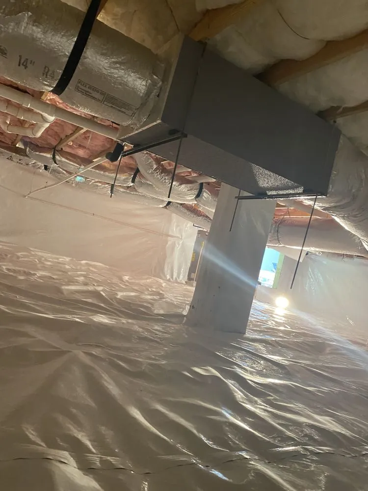 Trusted landscaping services experts serving Piney Flats, TN - Infinite