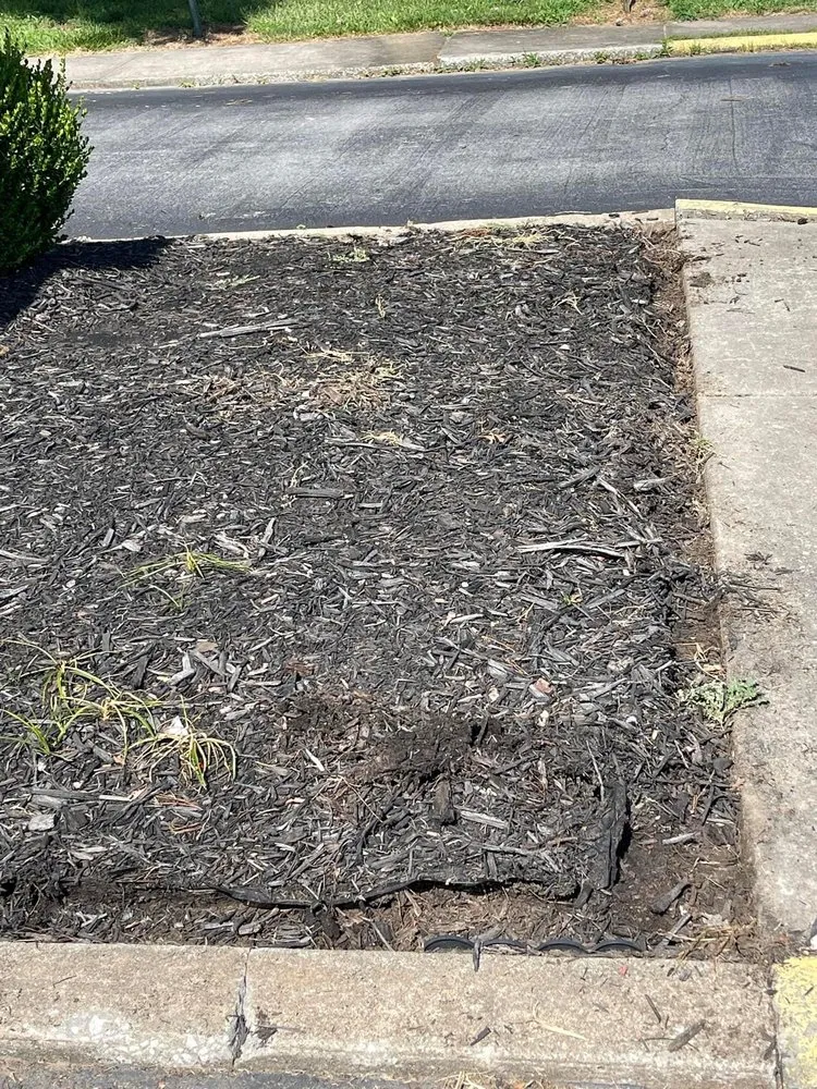 Top-rated lawn care service in Zeigler, IL - Infinite Precision